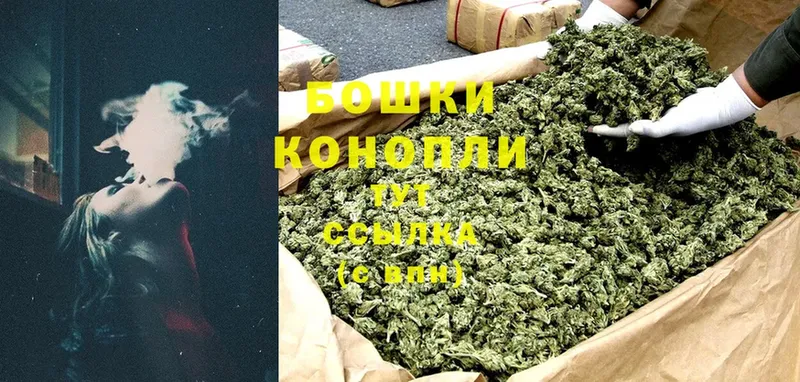 МАРИХУАНА White Widow  где купить наркотик  Артёмовск 